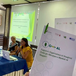 Green-AL Image 7